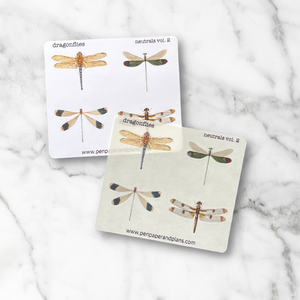 Dragonflies-Neutrals