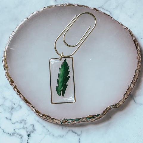 Fern Planner clip